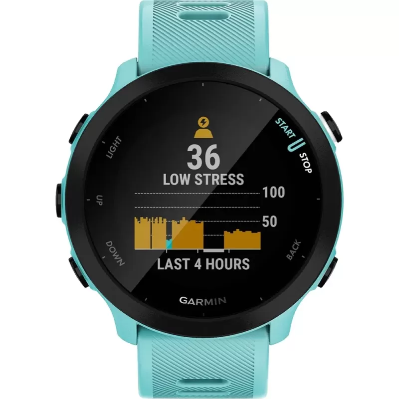 Reloj GPS Garmin Forerunner 55 010-02562-12 - Aqua Green