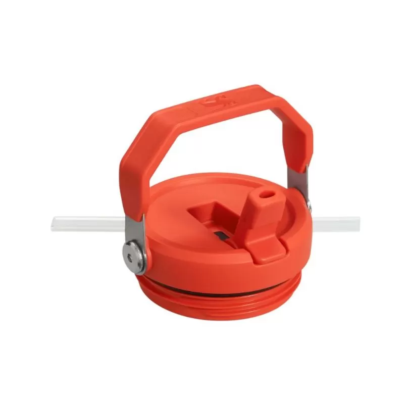 Termo Stanley The IceFlow Flip Straw Tumbler 887mL - Plum