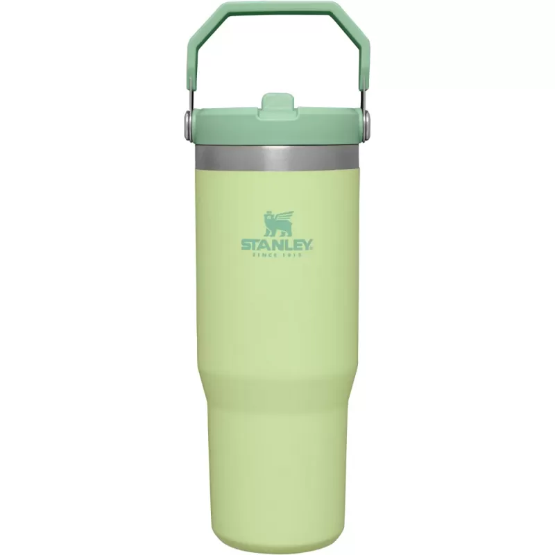 Termo Stanley Classic The IceFlow Flip Straw Tumbler 887mL - Citron (Con Detalle)