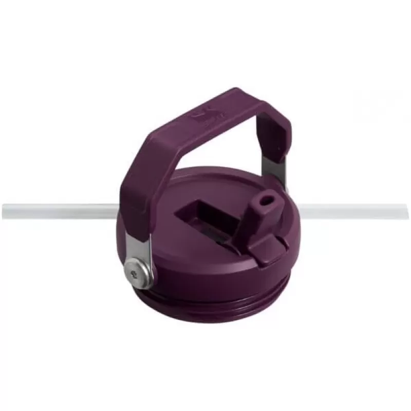 Termo Stanley Classic The IceFlow Flip Straw Tumbler 887mL - Plum Tigerlily