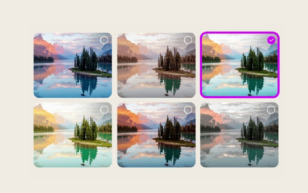 Descripción de la imagen