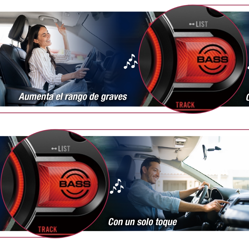 Descripción de la imagen