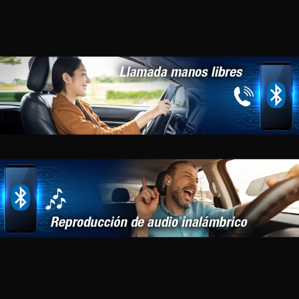 Descripción de la imagen