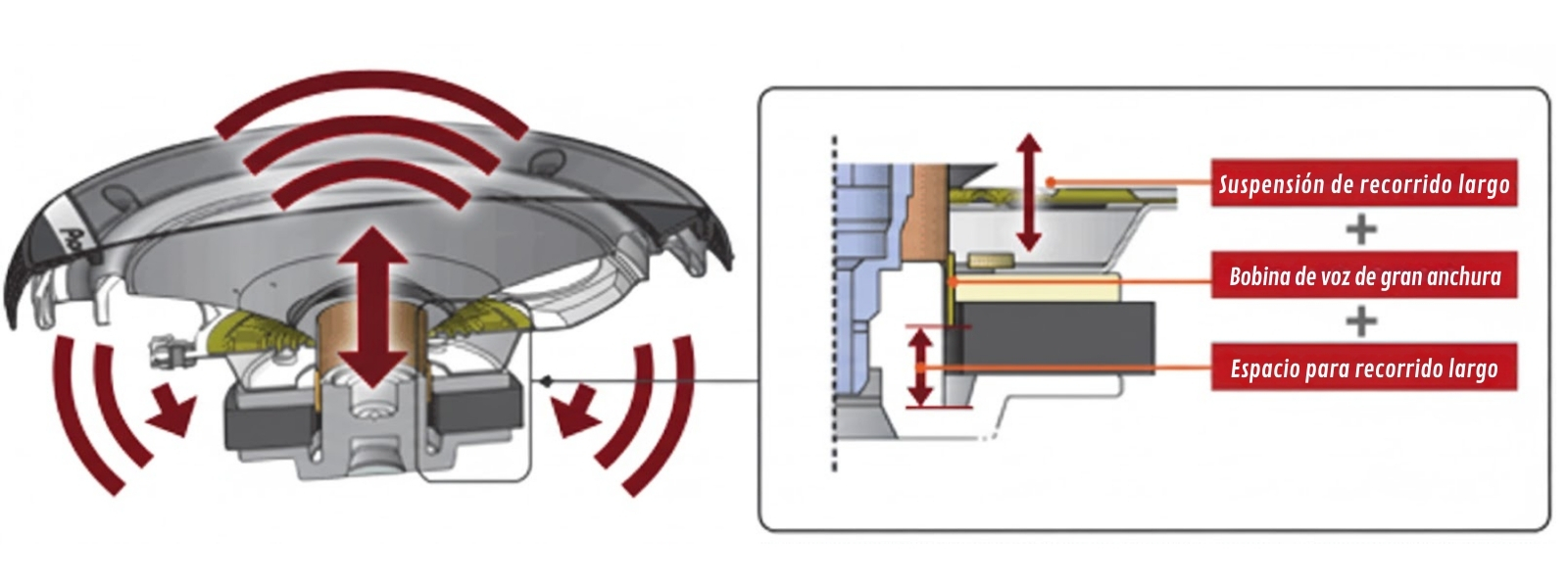 Descripción de la imagen