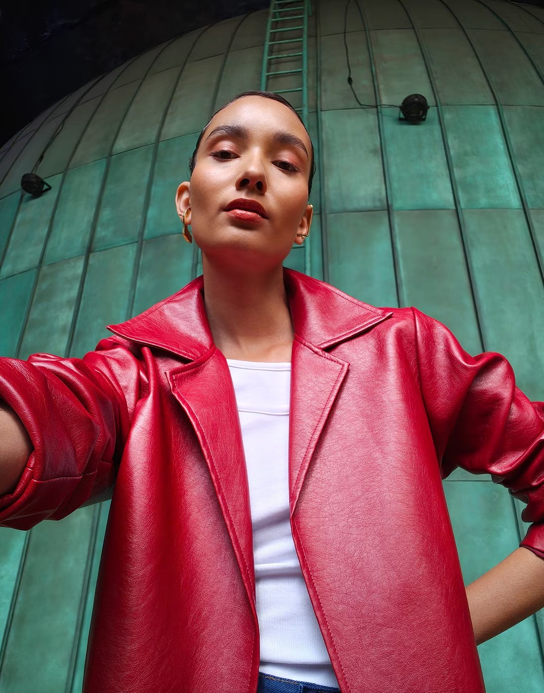 Descripción de la imagen