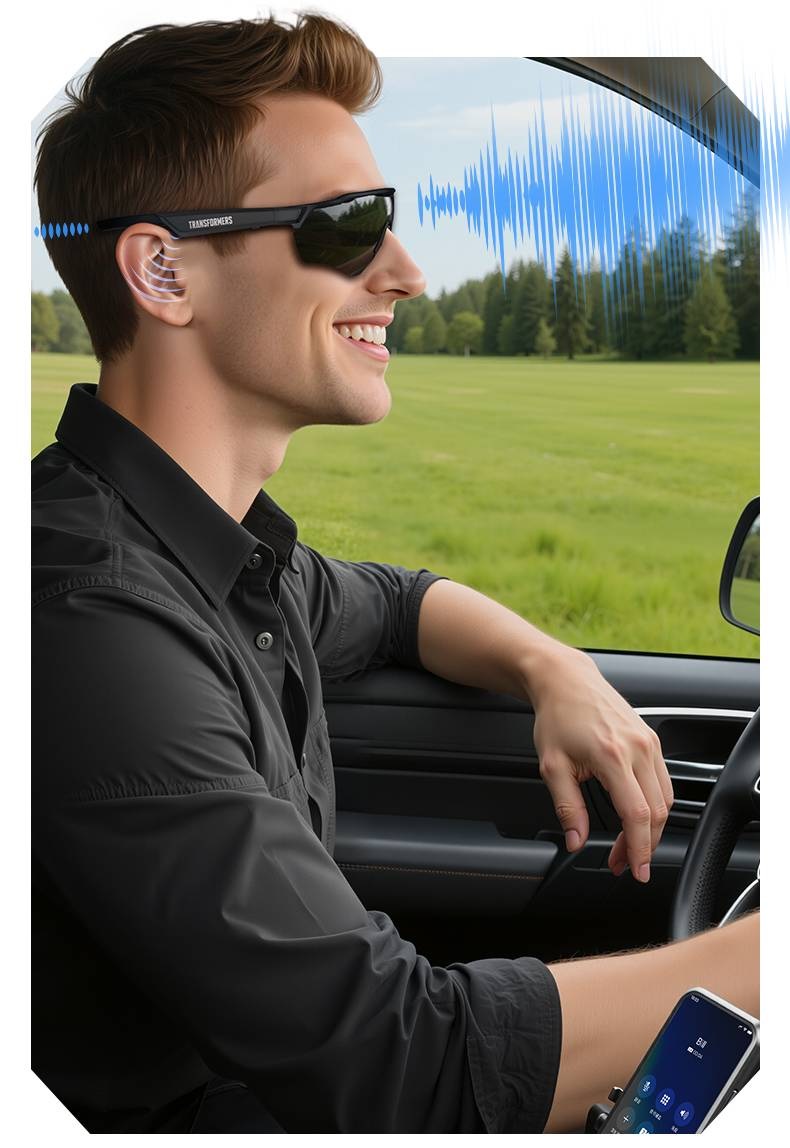 Descripción de la imagen