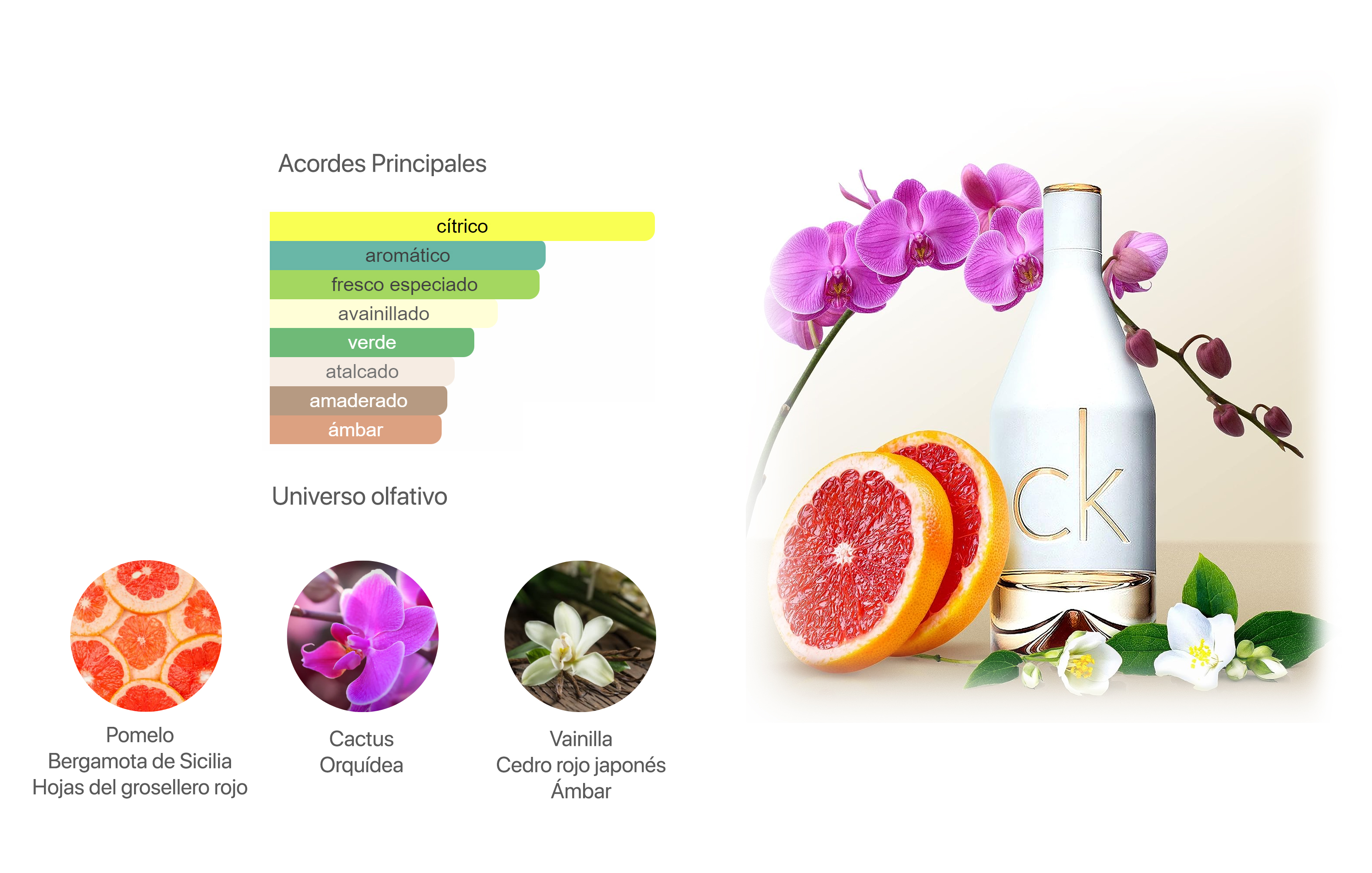 calvin klein ckin2u her