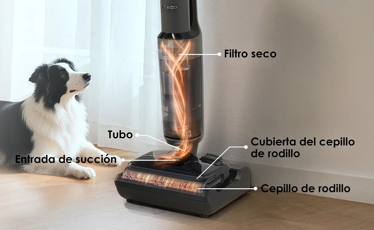 Descripción de la imagen 2