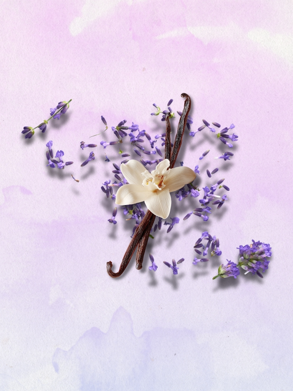 Imagen Goloso perfume