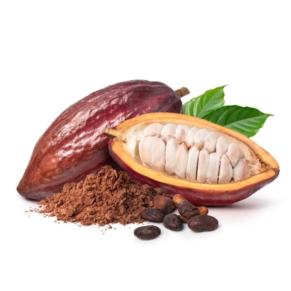 Cacao_2
