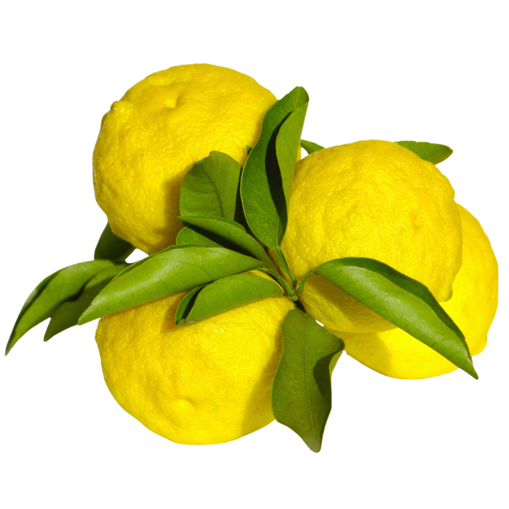Cidra