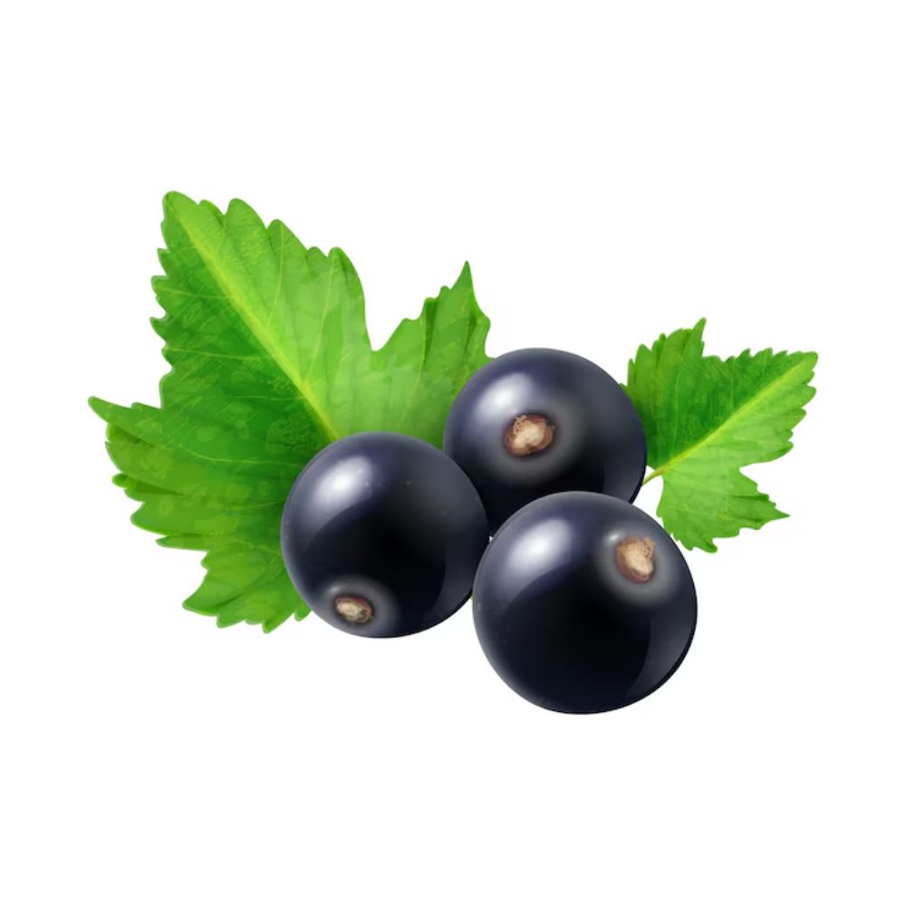 Grosellas_negras