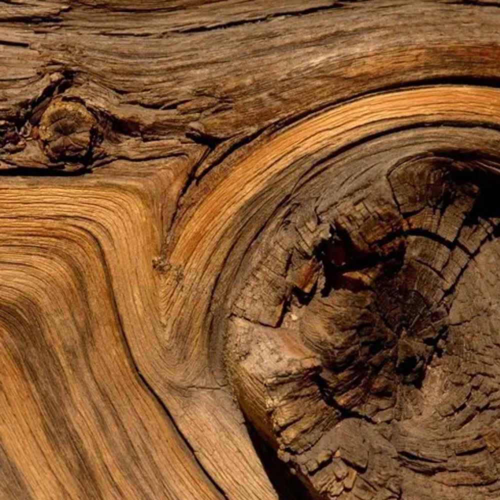 Madera_de_gaiac