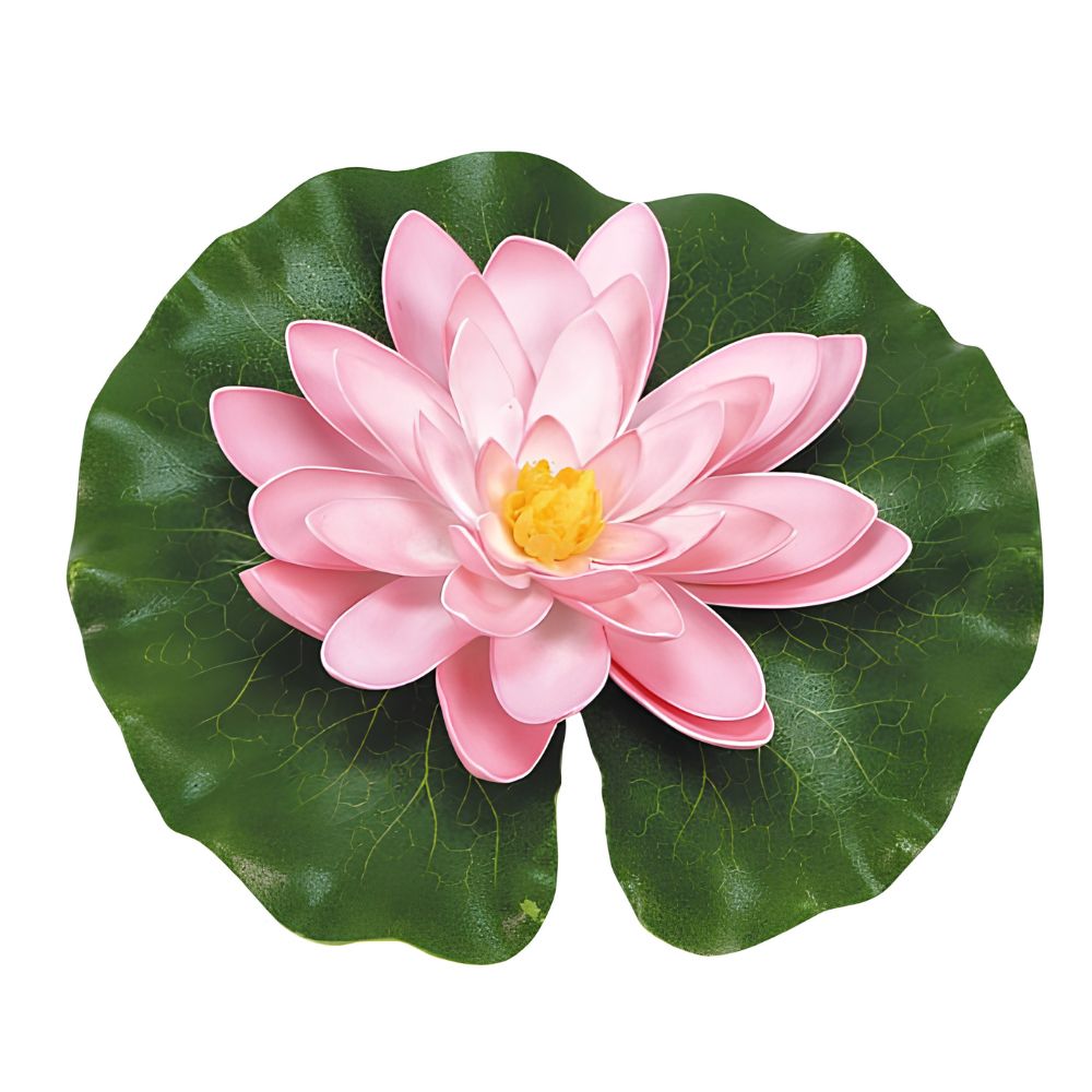 Nenufar