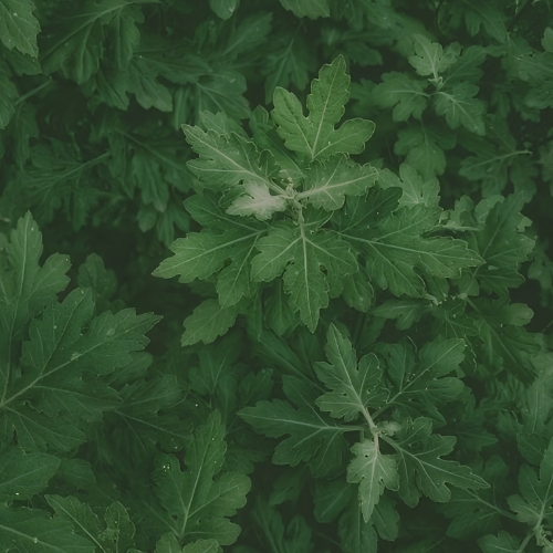 Notas_verdes