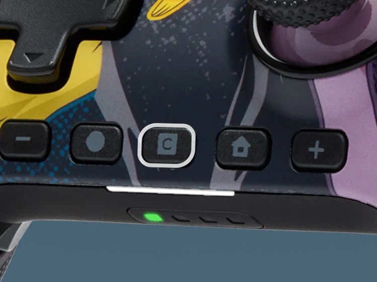 Descripción de la imagen