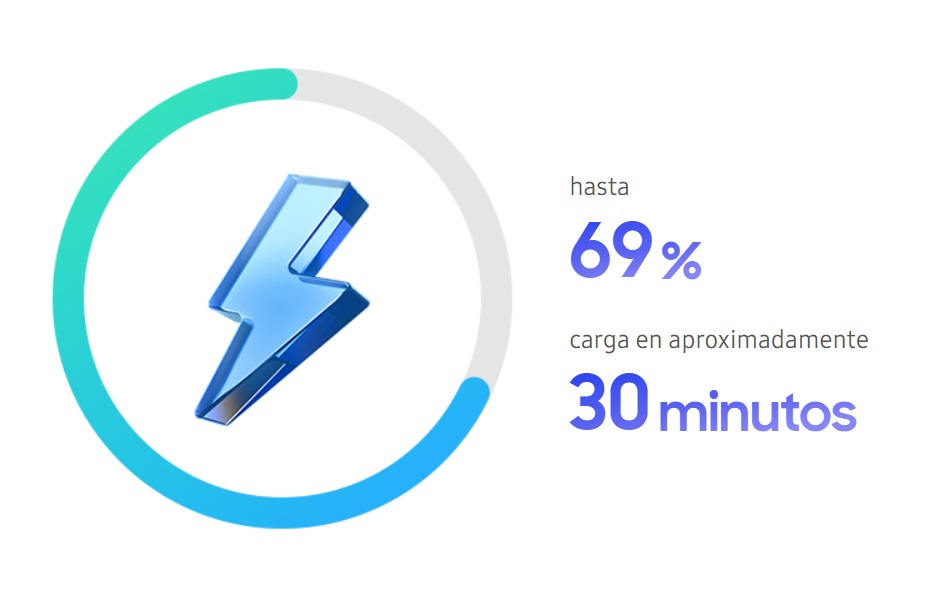 Descripción de la imagen