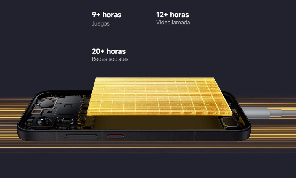 Descripción de la imagen